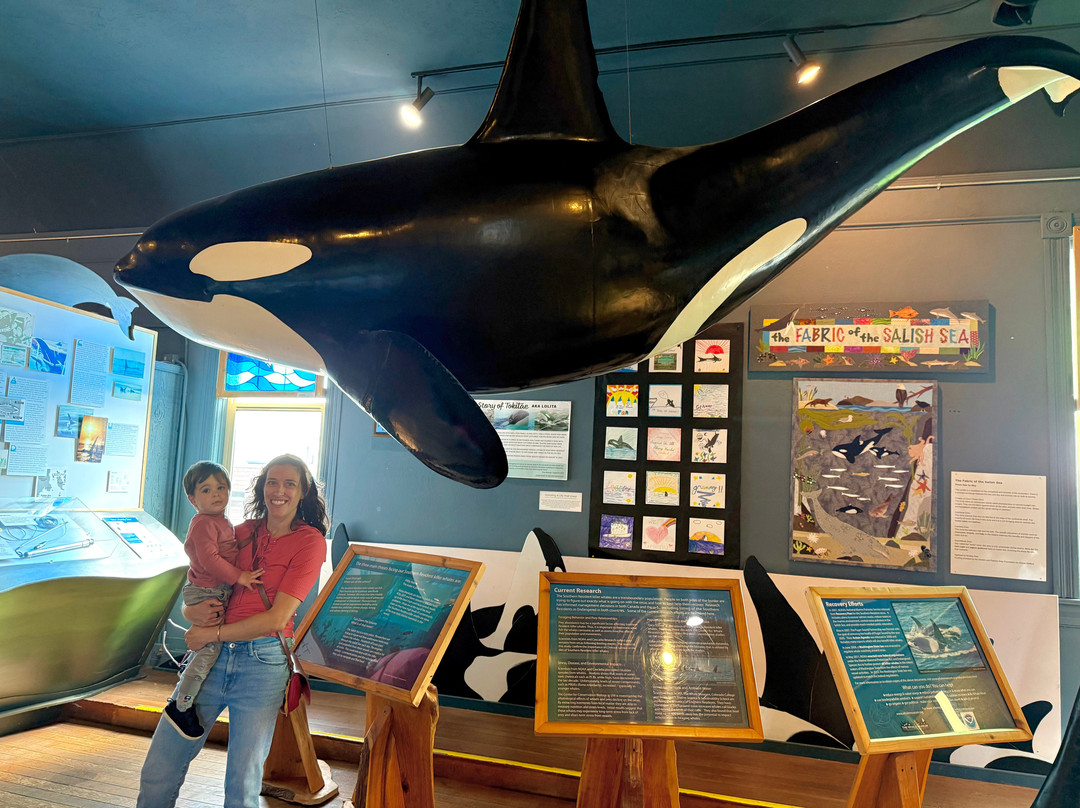 The Whale Museum-星期五港湾必去景点