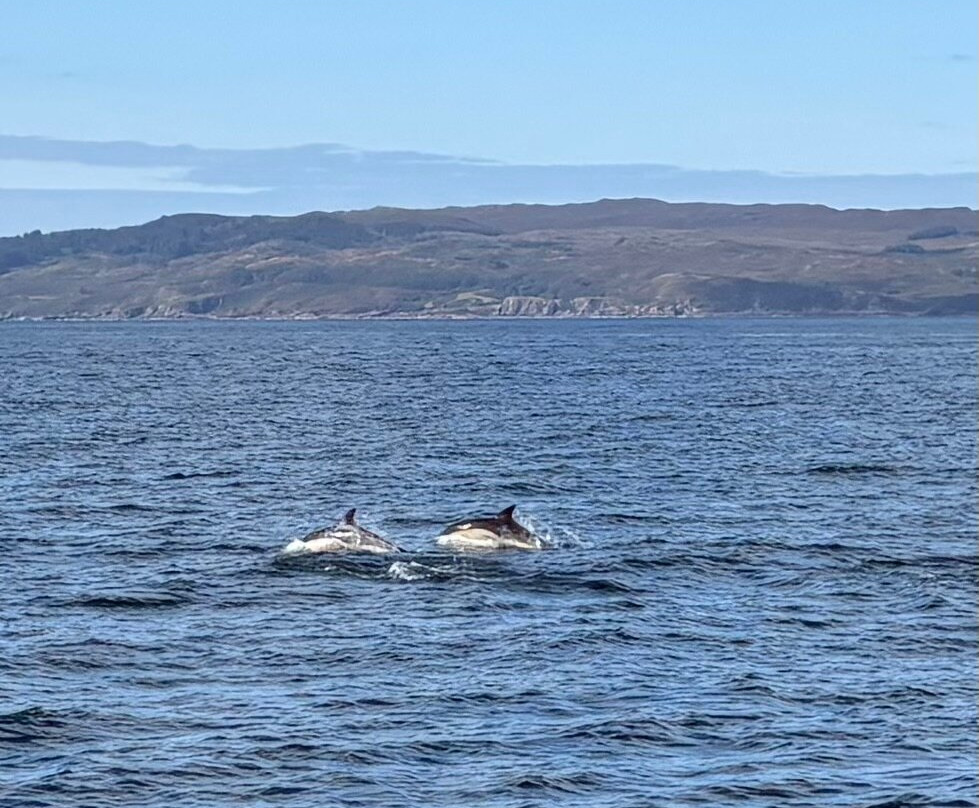 Western Isles Cruises-Mallaig必去景点
