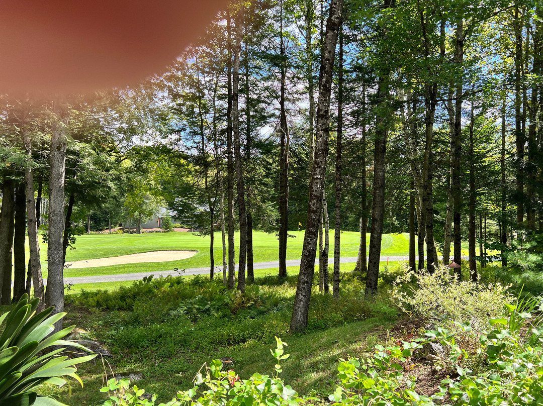 Loch Lyme Lodge & Cabins主图