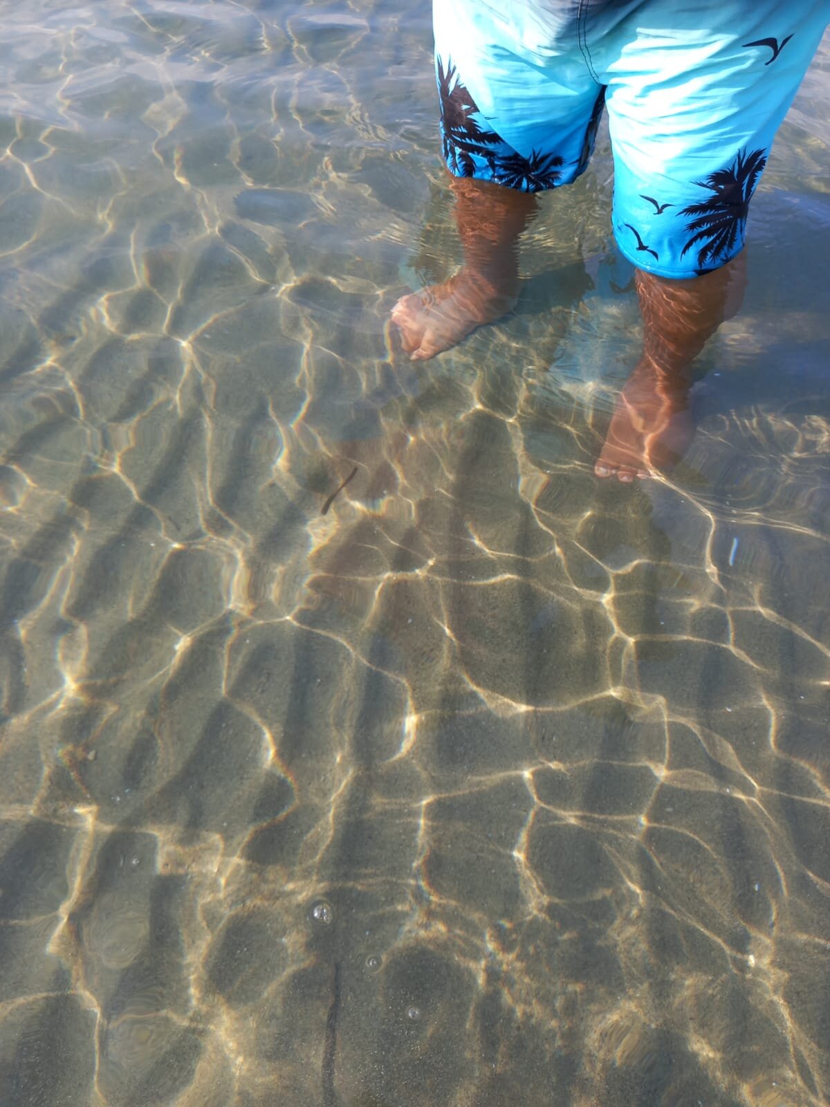 Hotel Portogreco-旅行者