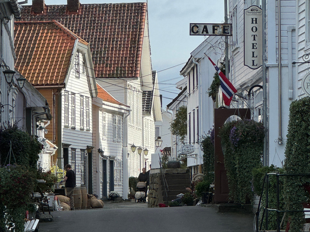 Sogndalstrand Kulturhotell主图