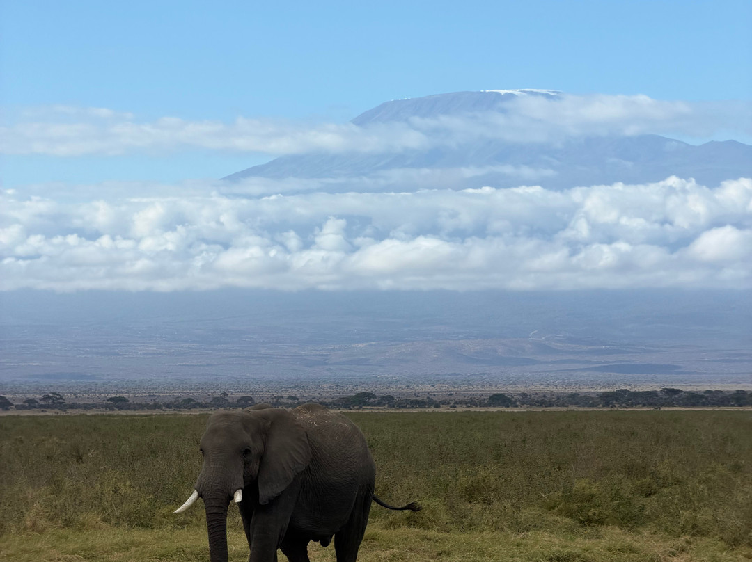 Maasai Safari & Cultural Tours-Kimana必去景点