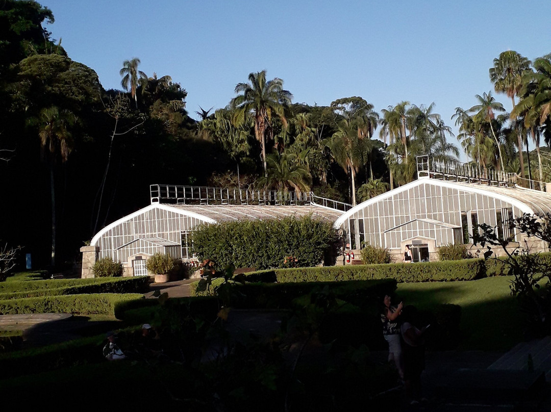 Jardim Botânico de São Paulo-圣保罗必去景点