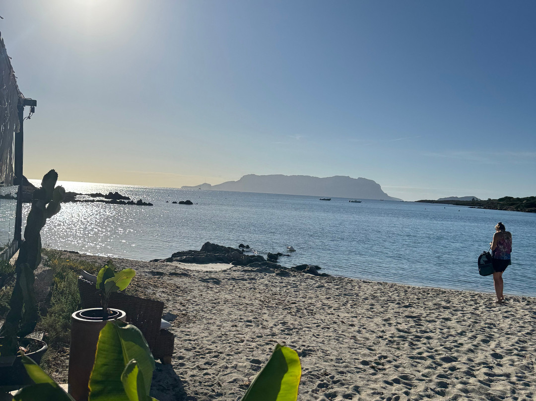 Spiaggia di Terrata Golfo Aranci-Golfo Aranci必去景点