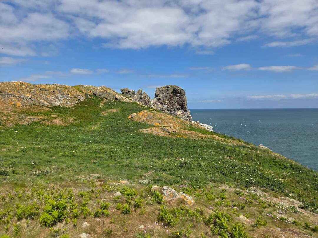Howth Cliff Cruises-霍斯必去景点