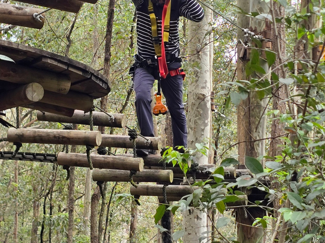 TreeTops Newcastle-纽卡斯尔必去景点