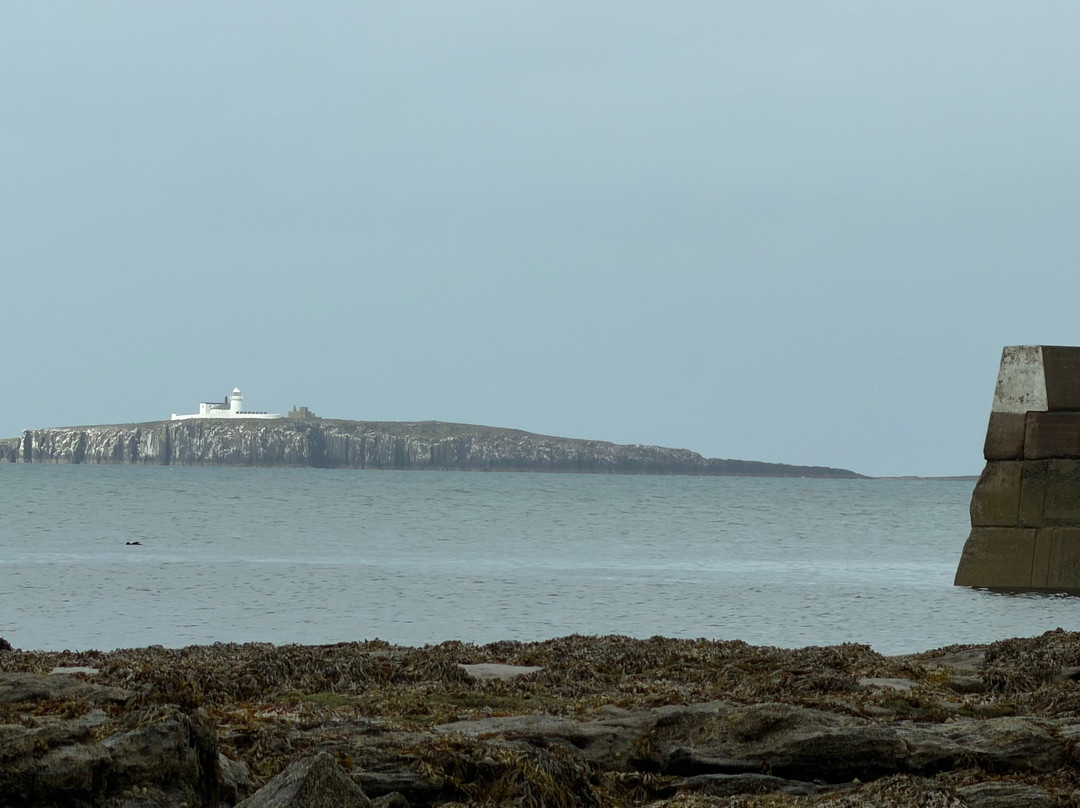 The Old Buoy Inn