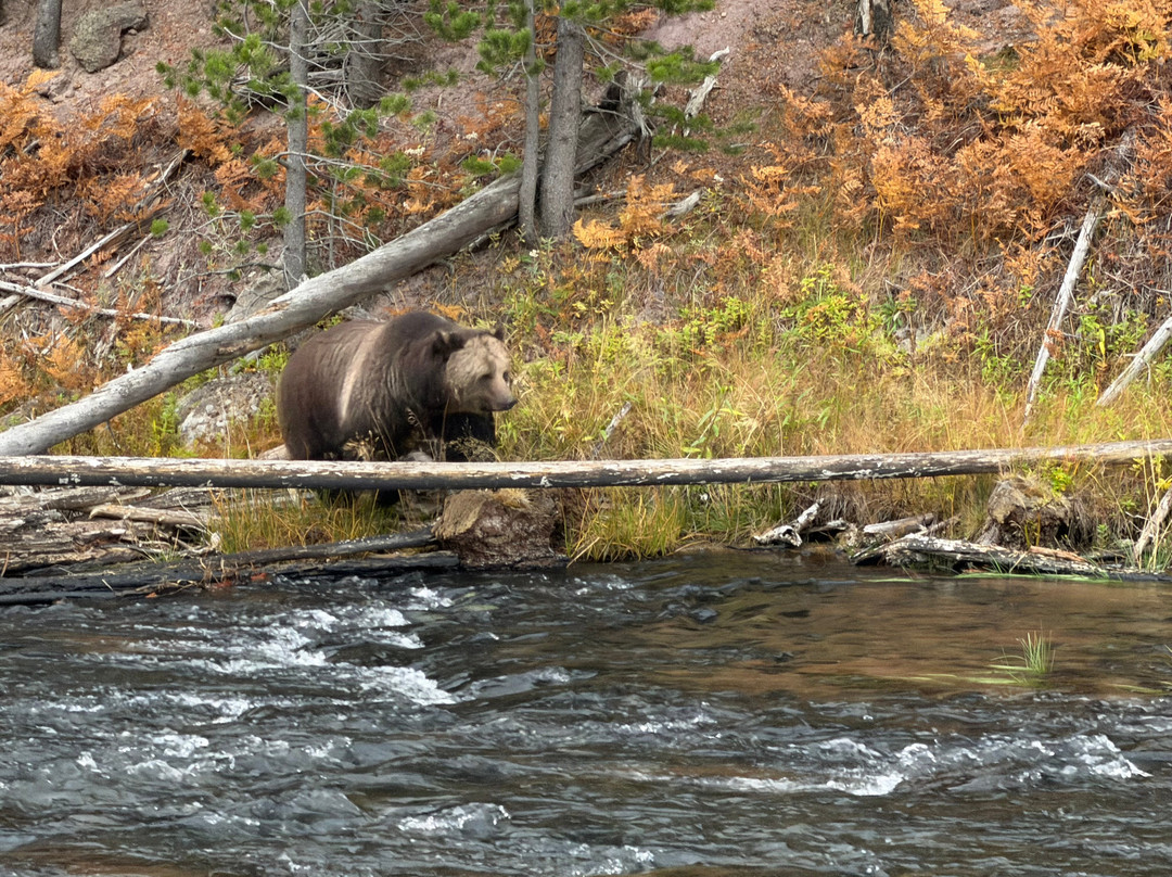 Yellowstone National Park-黄石国家公园必去景点
