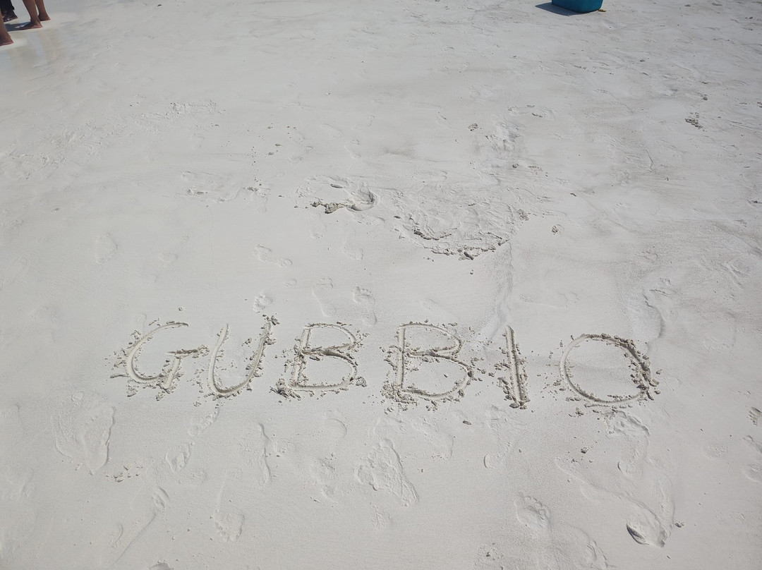 Veraclub Zanzibar Village主图