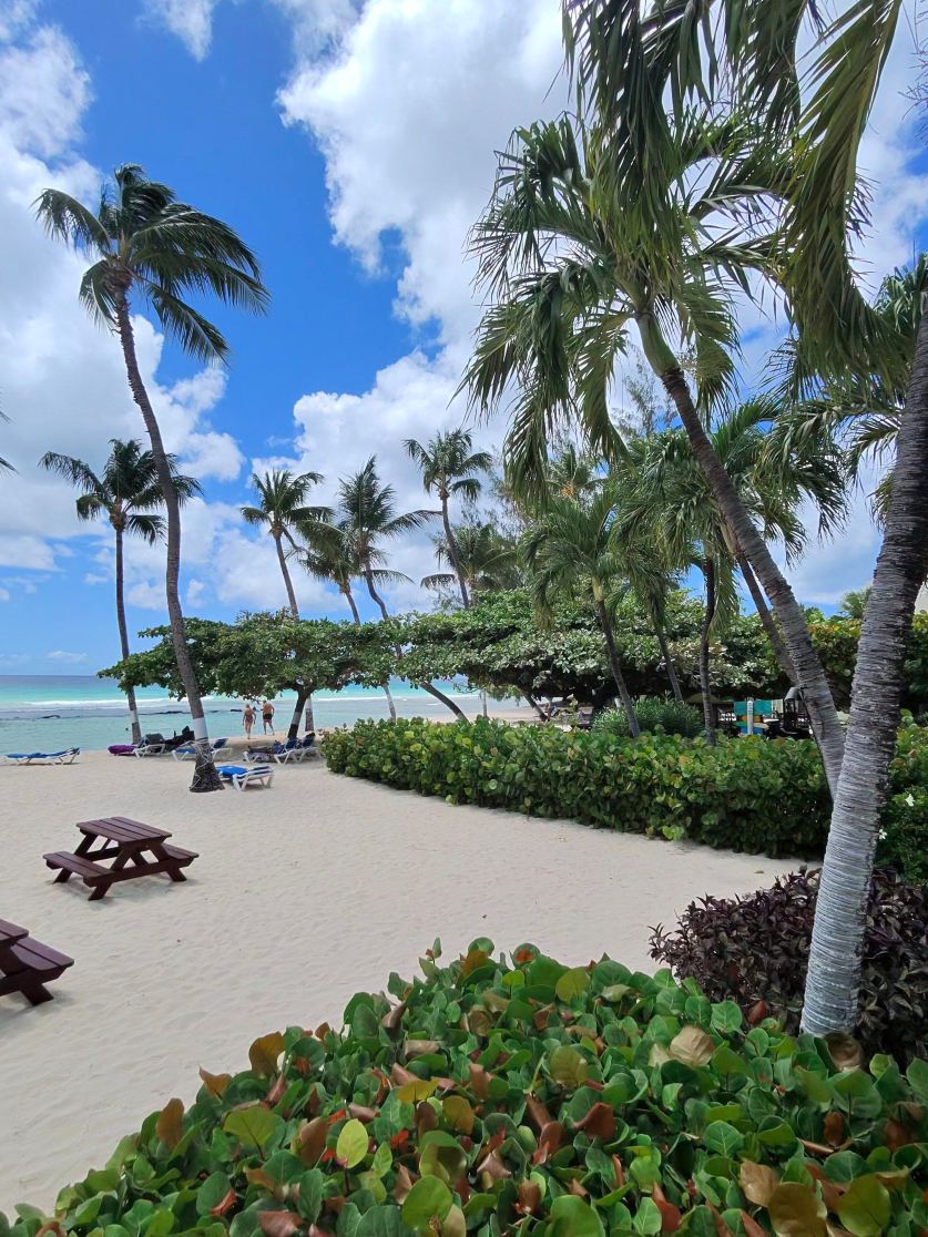 椰子园海滩酒店-旅行者