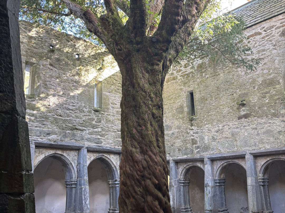 Muckross Abbey-基拉尼必去景点