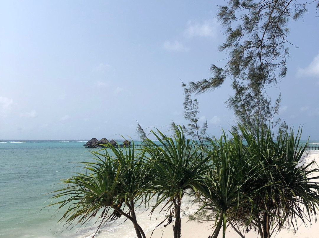 Dongwe Beach-多恩维必去景点