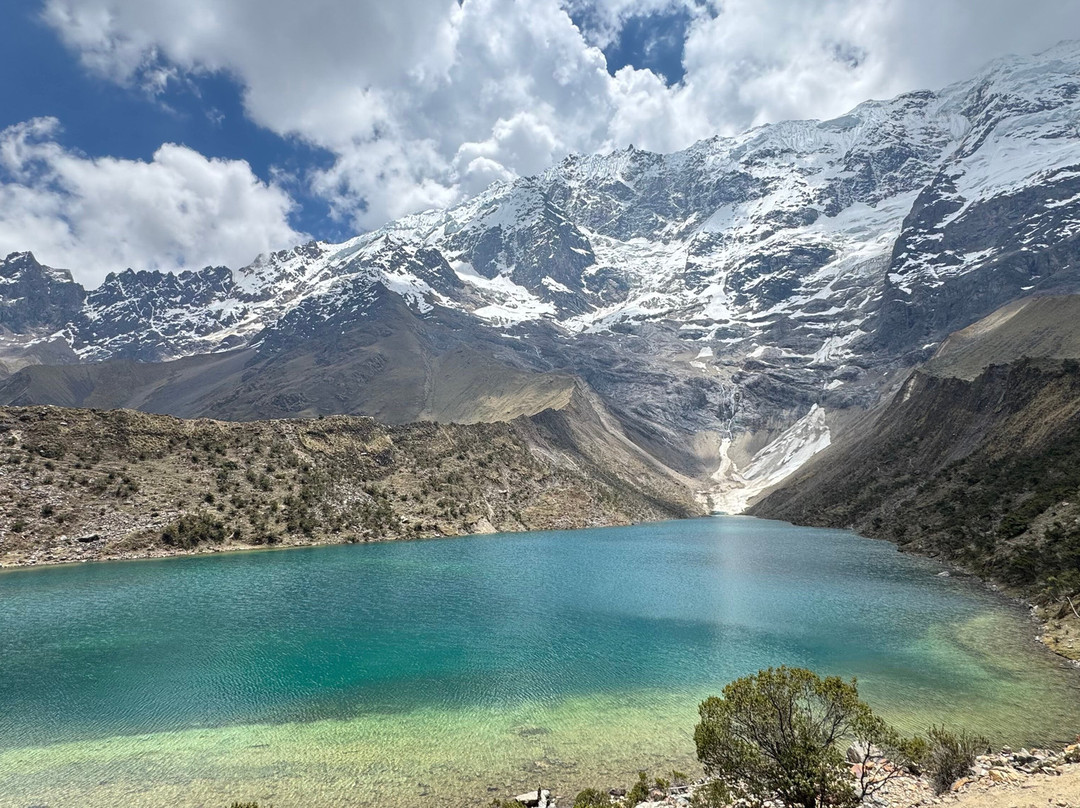 Alpaca Expeditions-库斯科必去景点