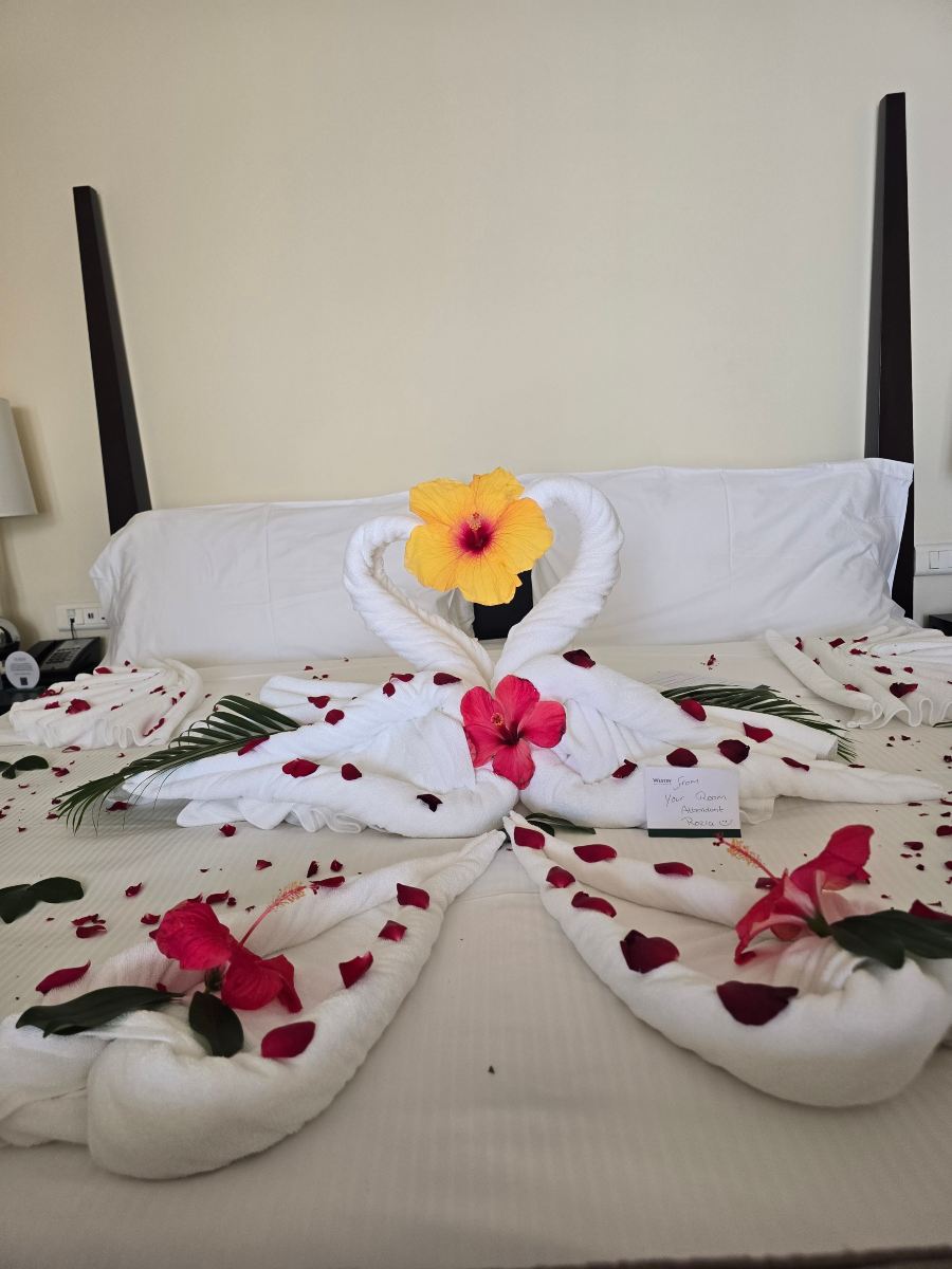 毛里求斯威斯汀龟湾水疗度假村-旅行者