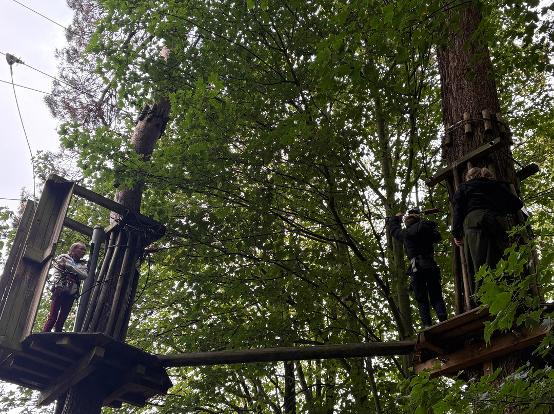 Go Ape Leeds Castle-Leeds必去景点