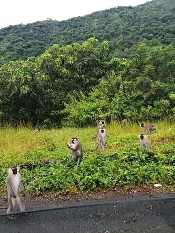 Jalingo旅游攻略图片