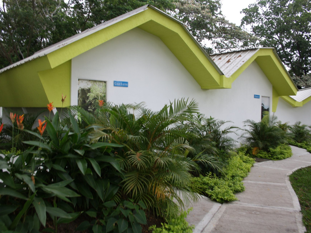 Hotel Club Campestre