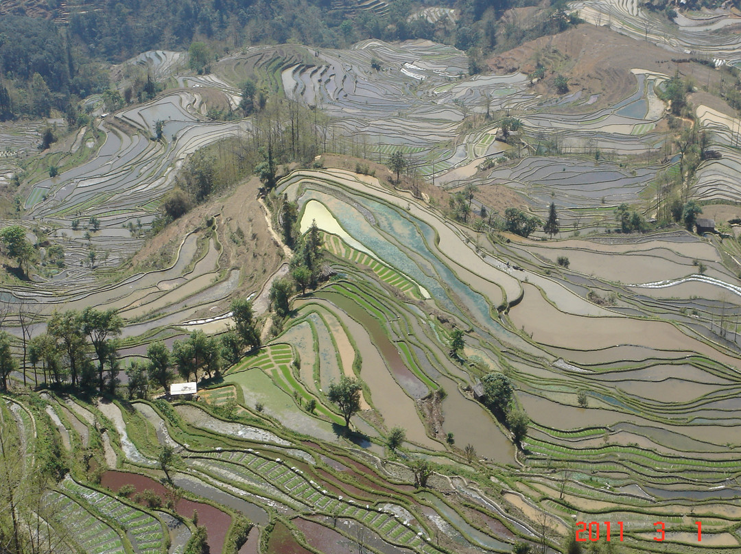 元阳县旅游攻略图片