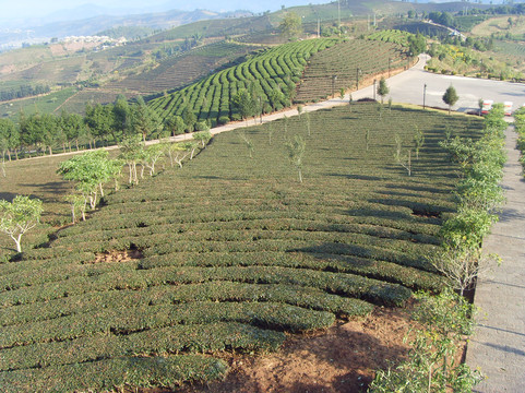 西双版纳旅游专业公司-景洪市必去景点