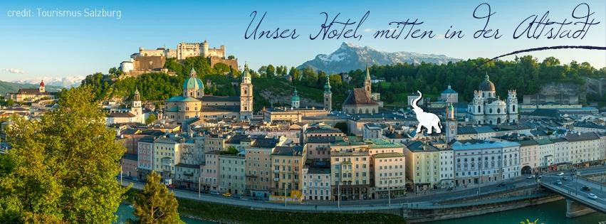 Hotel Elefant Family Business