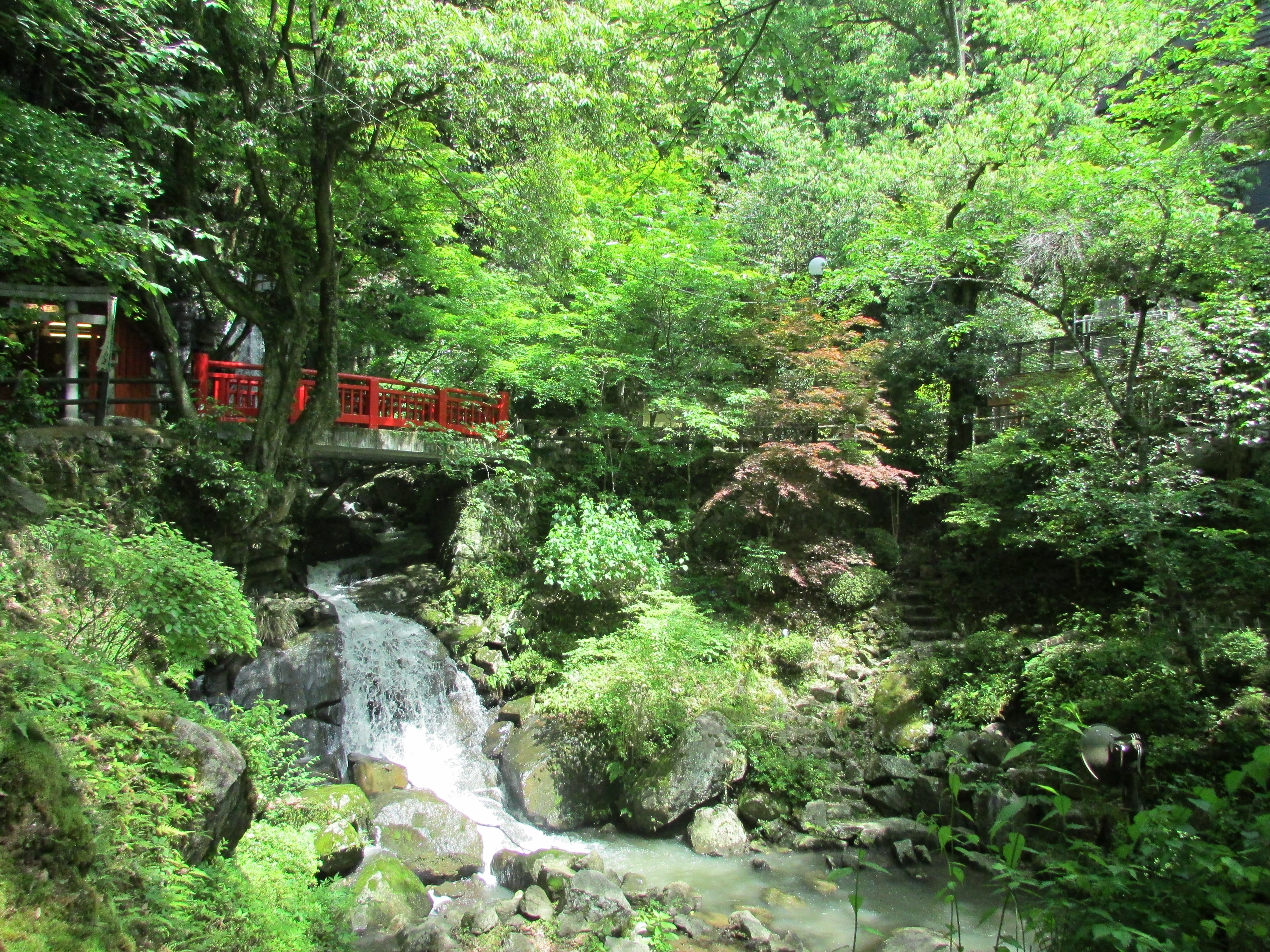 Hotel Kinsenkaku-官方