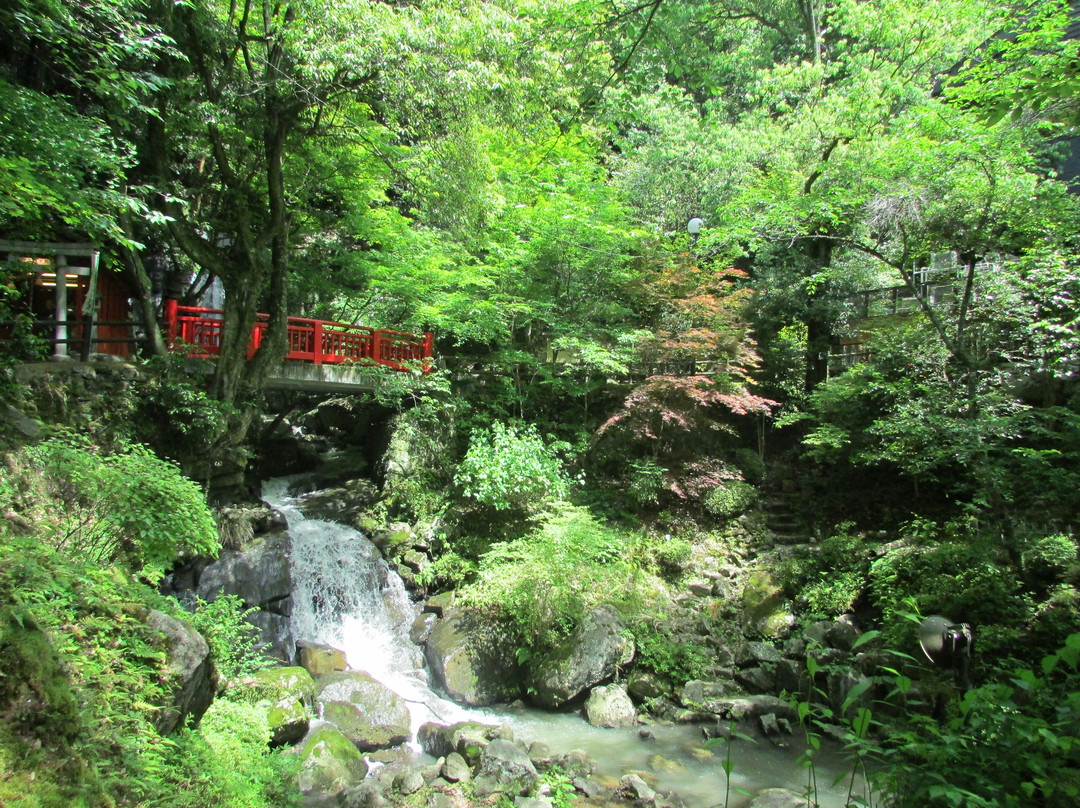 丰田市旅游攻略图片