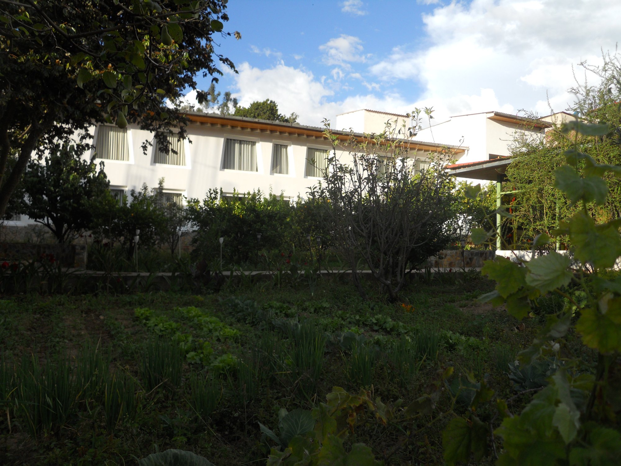 Hotel El Abuelo-官方