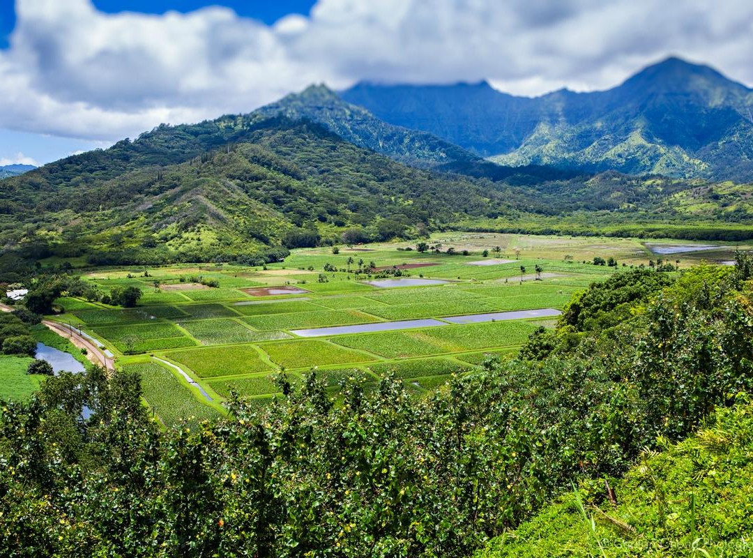 Hanalei Valley Lookout景点图片