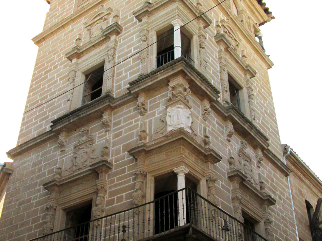 Palacio de los Condes de Guadiana景点图片