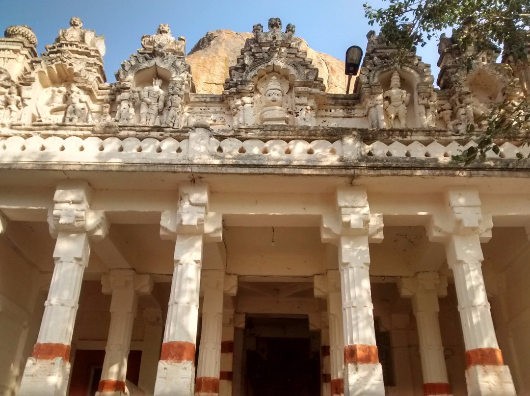 Hidimbeshwar Temple景点图片
