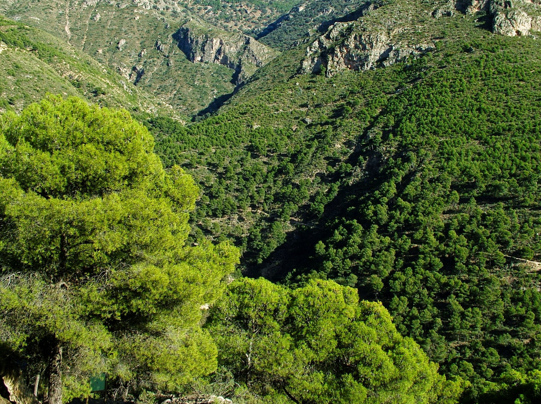Red de Senderos de la Sierra de Gador景点图片