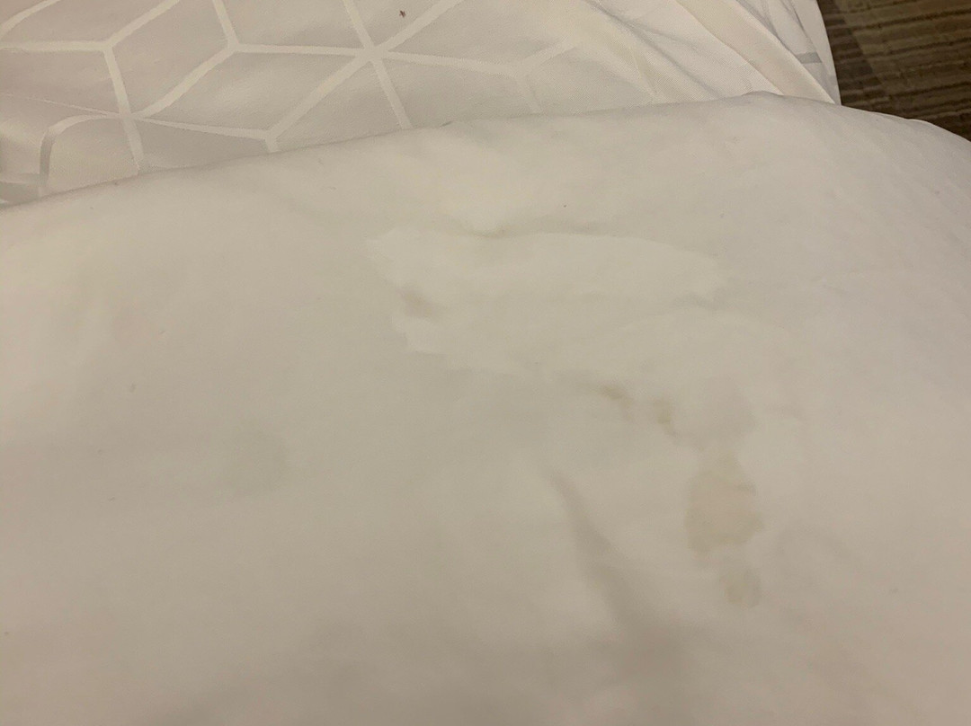 Holiday Inn Express Cedar Rapids (collins Rd) By IHG主图