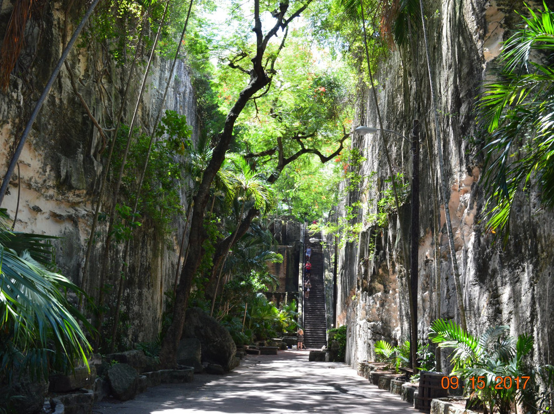 新普罗维登斯岛旅游攻略图片