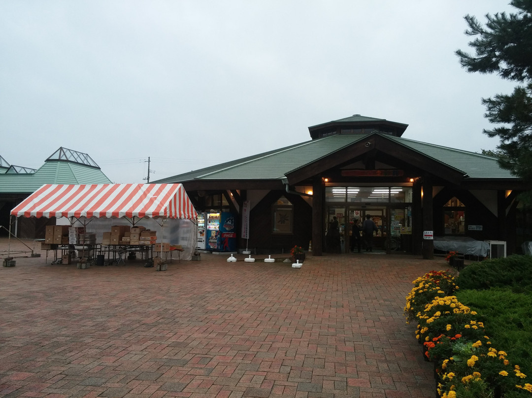 Michi-no-Eki Oirase Roman Park