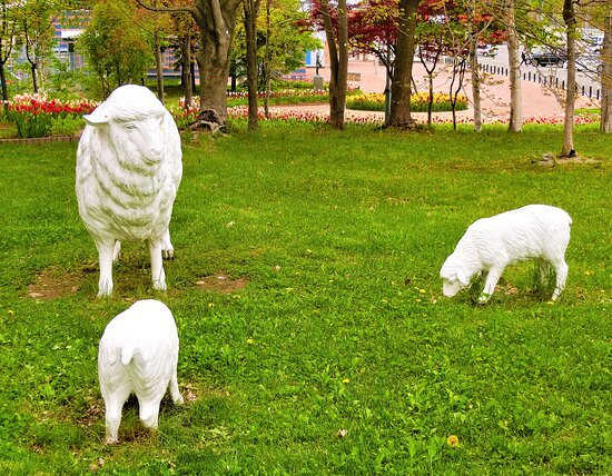Sunagawa Service Area Inbound-砂川市必去景点