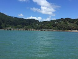 Waiuku Harbour Cruise-Waiuku必去景点