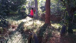 Kadumane Homestay主图
