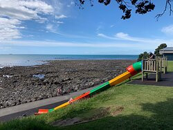 Kawaroa Park-新普利默斯必去景点