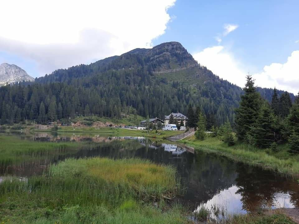 Al Gallo Forcello 1530主图