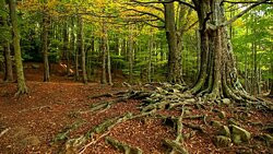 Hotel Montsoliu主图