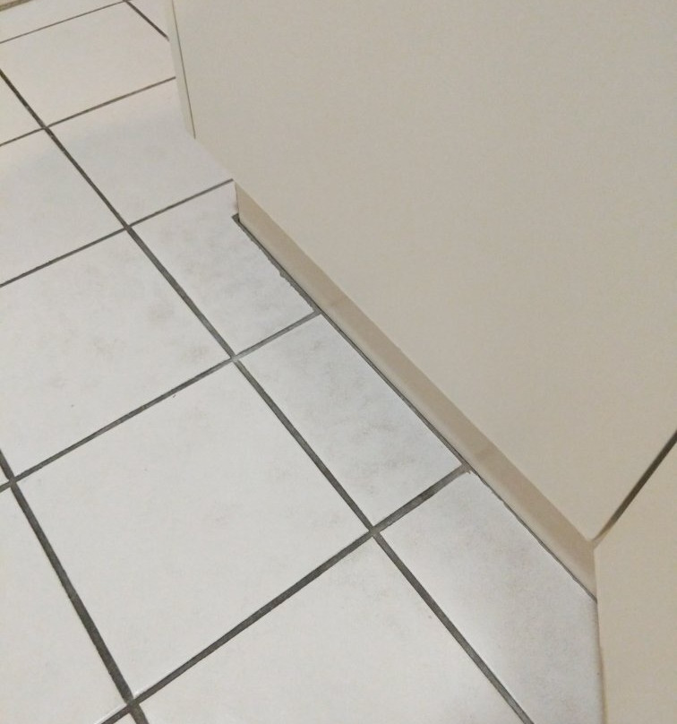 William Macintosh Motor Lodge主图