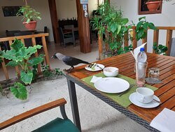 马尔代夫热带树木酒店主图