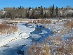 省立鱼溪公园-卡尔加里必去景点