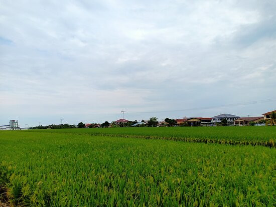 Ah Ma House-适耕庄必去景点