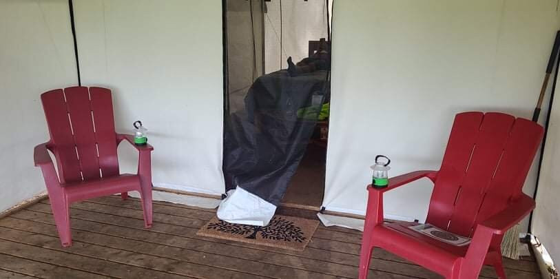 C.K. Maggs Adventures-伊劳拉必去景点