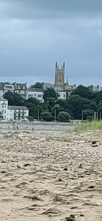 Dawlish Warren Nature Reserve景点图片