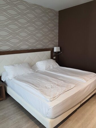 Hotel Bisesti主图