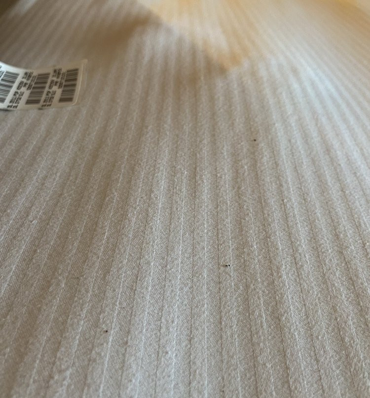 Borrego Springs Resort主图