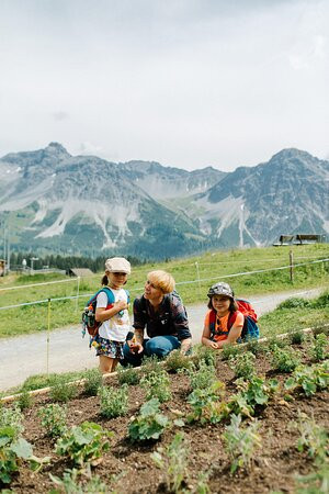Ricola Erlebnisweg Arosa-阿罗萨必去景点