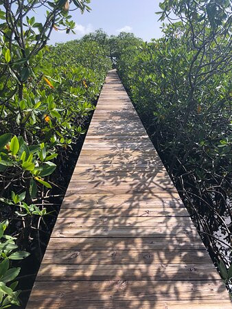 Tranquilo Bay Eco Adventure Lodge主图